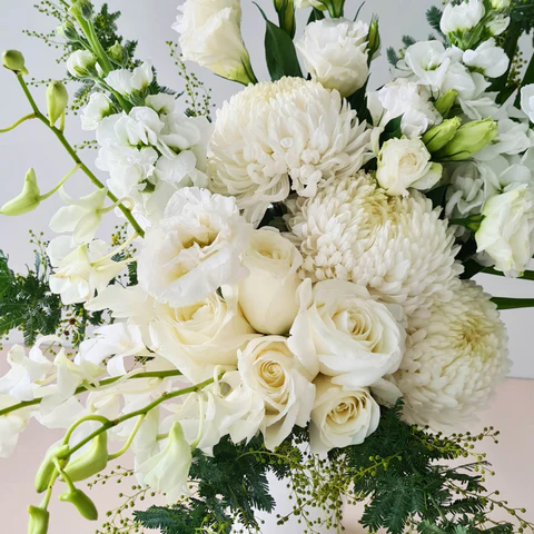 What Is Mosman Florist? A Quick Guide for Sydney Creatives and Lifestyle Enthusiasts